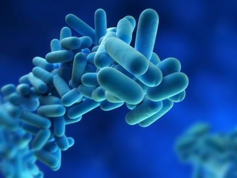 Warning to travellers about Legionnaires cases in Spain