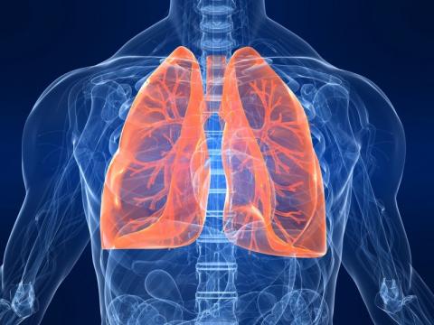 COPD risk can be cut by stopping smoking now