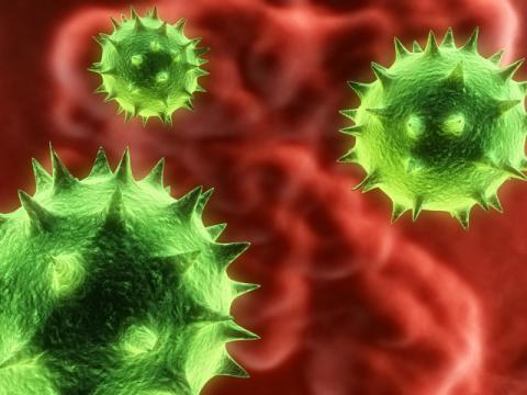 PHA calls for vigilance over vomiting virus